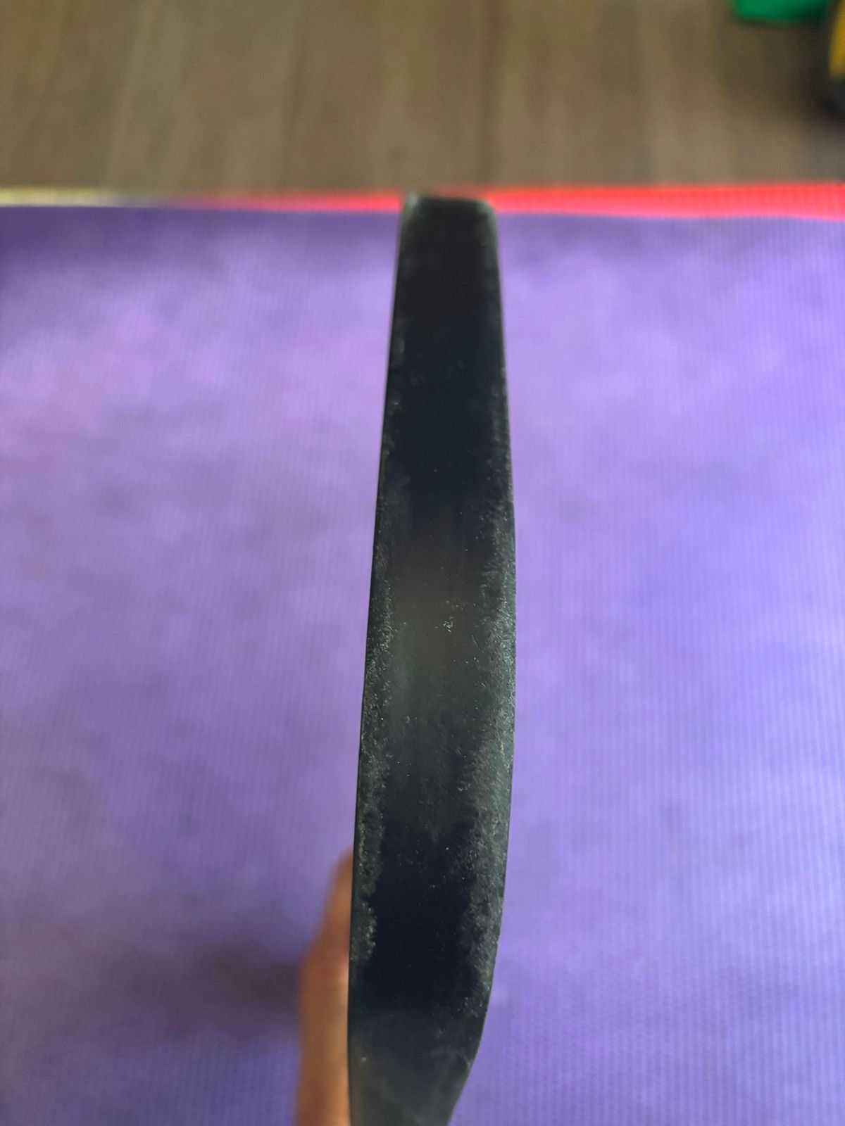 Selkirk Vanguard Pro - Epic